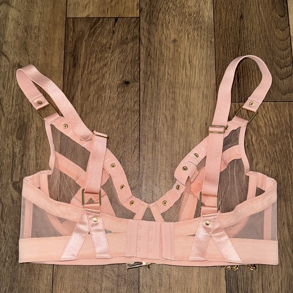 Honey Birdette Indria Soft Peach Bra Size 32F (32DDD) Discontinued Sexy Bondage - Picture 3 of 11